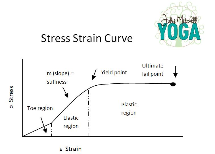 Tissue Mechanics Connective Tissues Jules Mitchell Yoga