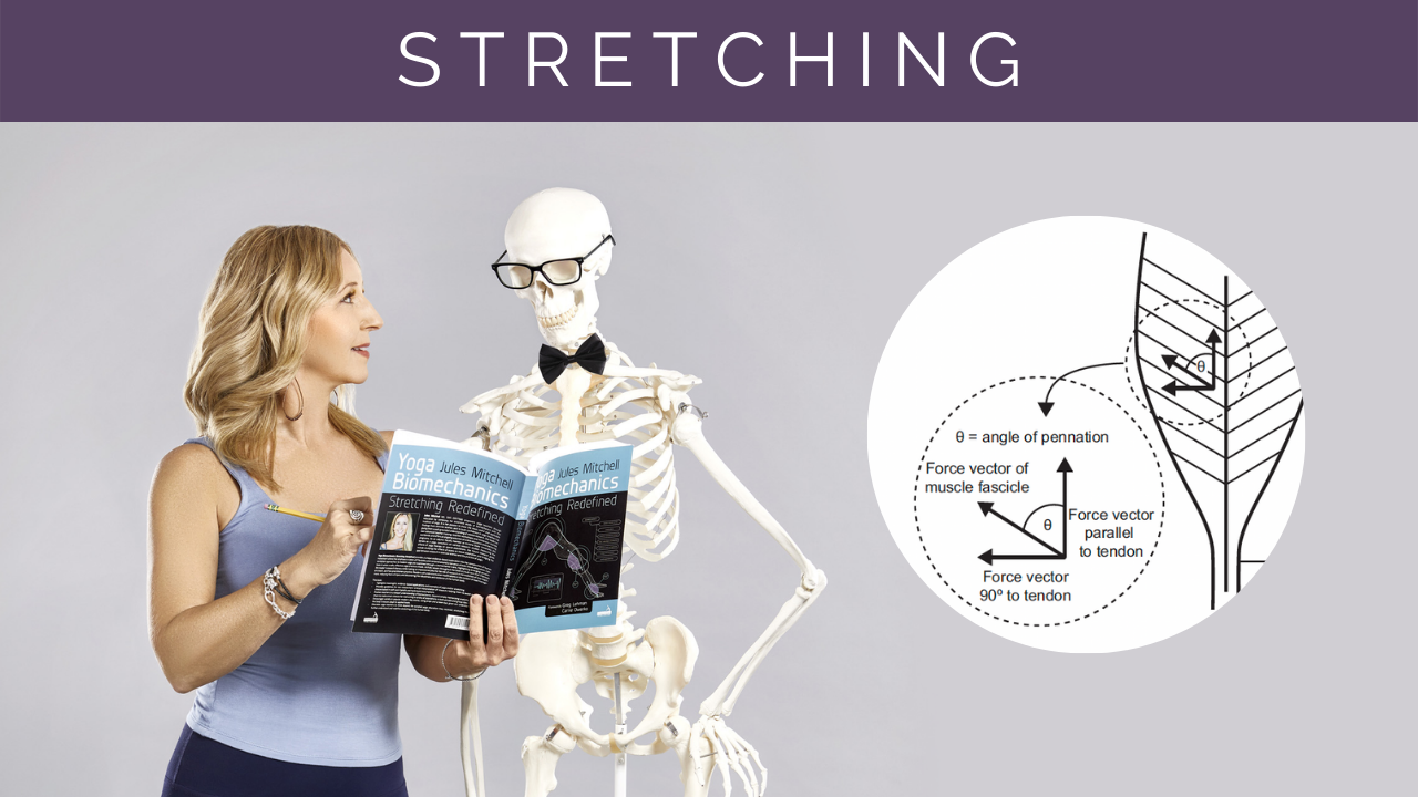 Stretching