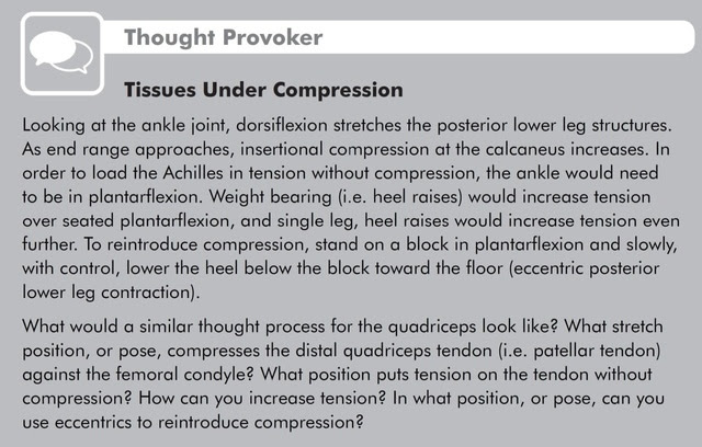 Image of the thought provoker on page 152 in Yoga Biomechanics: Stretching Redefined