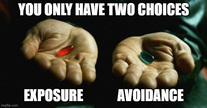 Meme of the red pill blue pill choice in the Matrix movie saying you only have two choices: exposure or avoidance