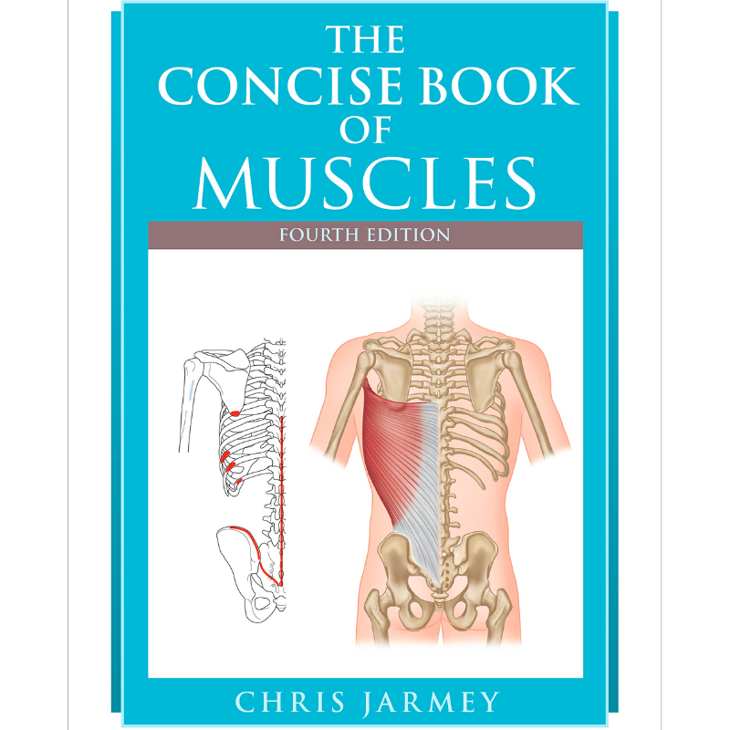 The Concise Book of Muscles