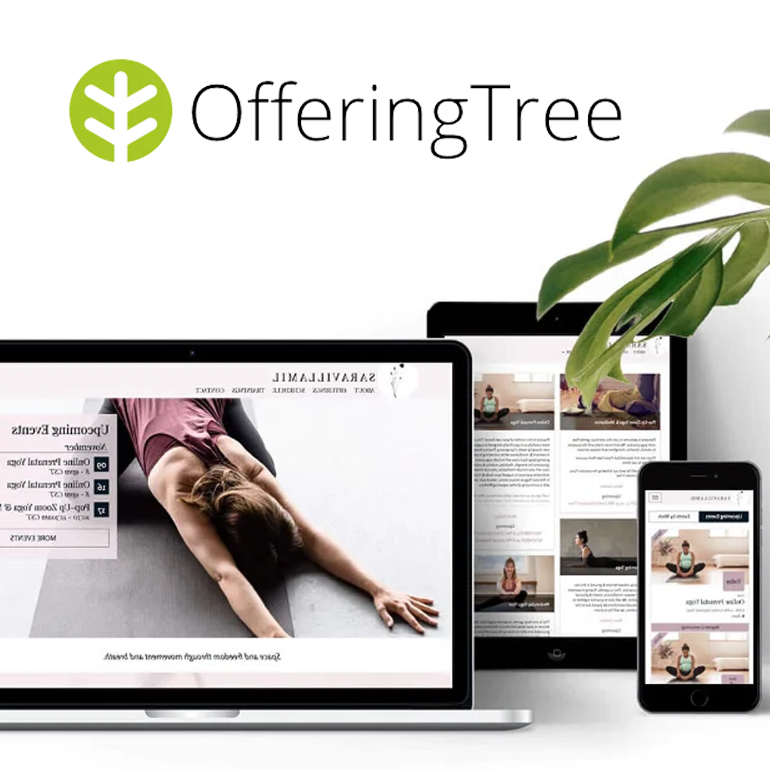 Offering Tree logo