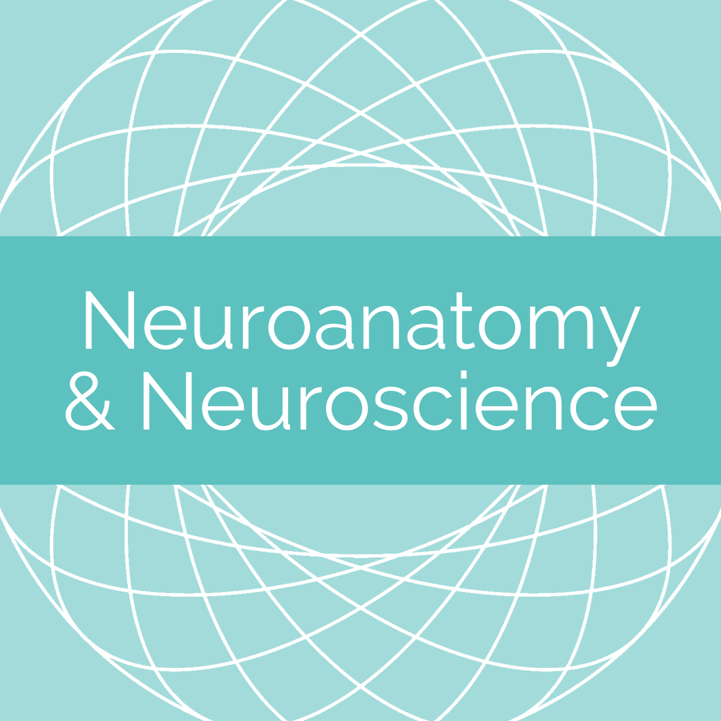 Neuroanatomy and neuroscience